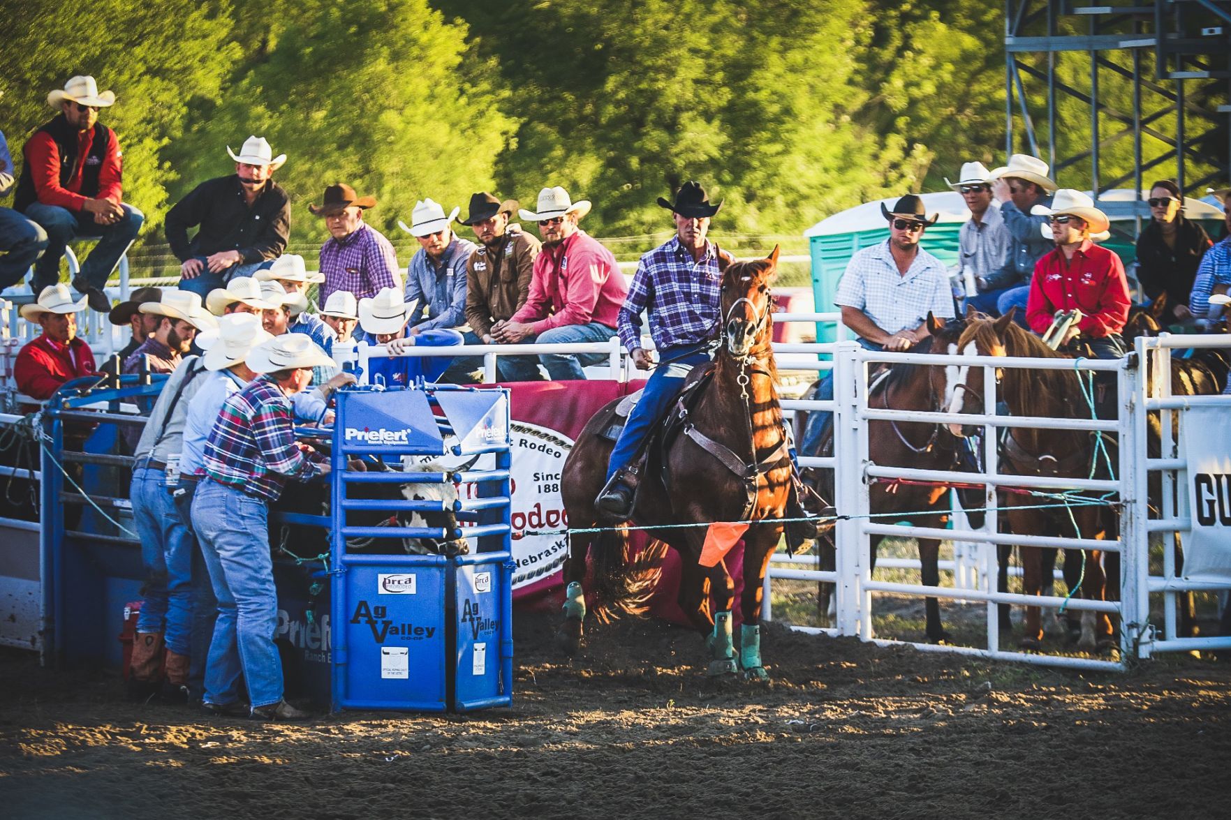 Buffalo Bill Rodeo Night 1 (13).jpg